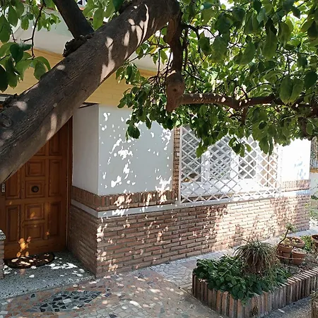 Casa Limonero Con Parking Gratis Junto A Centro Historico Villa Granada Buitenkant foto