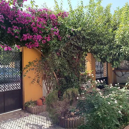 Casa Limonero Con Parking Gratis Junto A Centro Historico Villa Granada Buitenkant foto