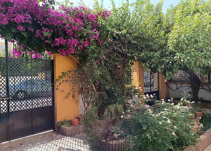 Casa Limonero Con Parking Gratis Junto A Centro Historico